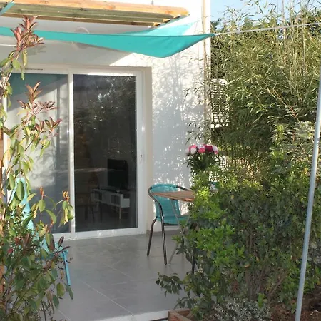 Les Hirondelles * La Garde